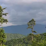 Zacisze Na Wzgórzu