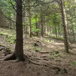 Zacisze Na Wzgórzu Casa de Férias Zawoja