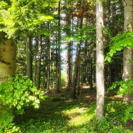 Dom wakacyjny Zacisze Na Wzgórzu