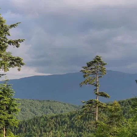 Zacisze Na Wzgorzu