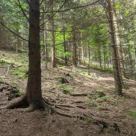 Zacisze Na Wzgórzu Dom wakacyjny Zawoja