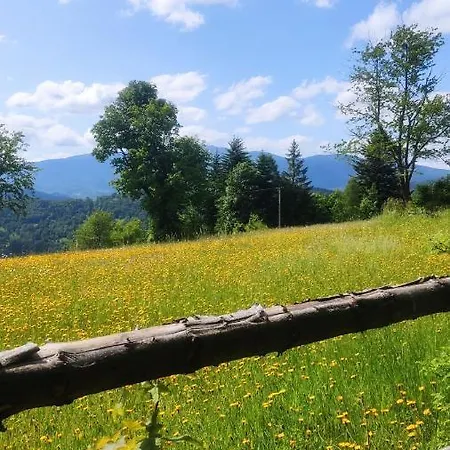 Zacisze Na Wzgórzu *