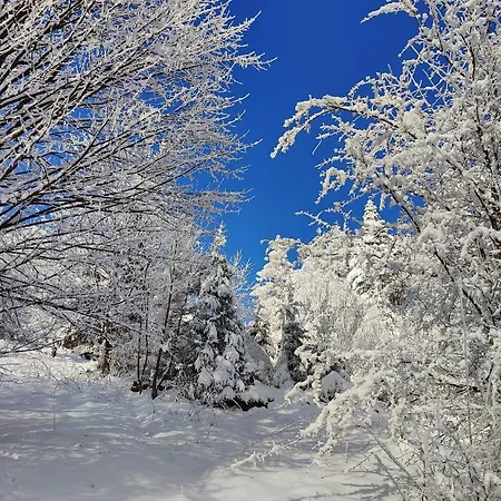 Zacisze Na Wzgorzu Casa vacanze
