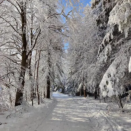 Dom wakacyjny Zacisze Na Wzgórzu