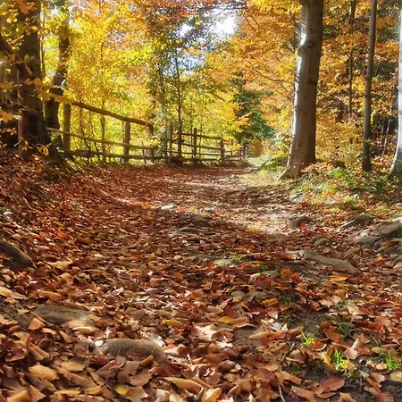 Dom wakacyjny Zacisze Na Wzgórzu *